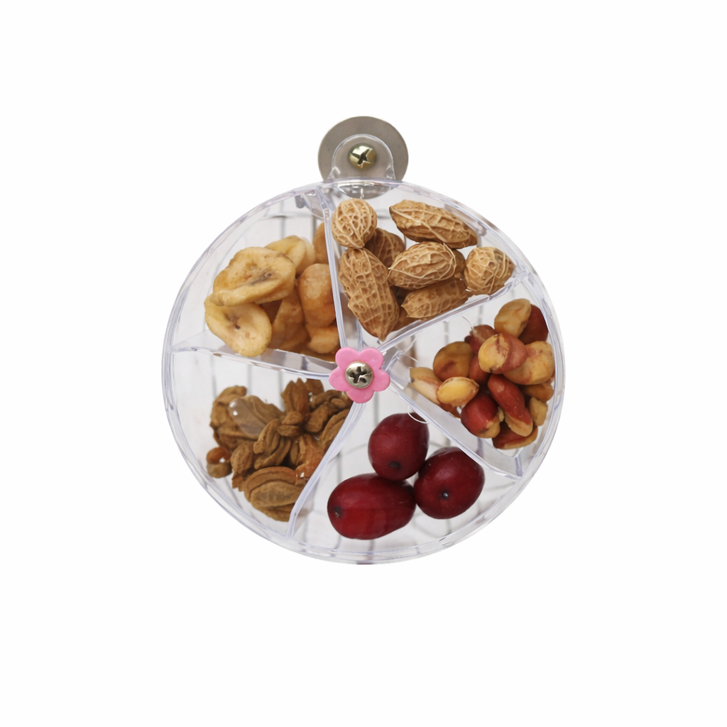 Crystal Spin-Wheel – Interactive Foraging Puzzle